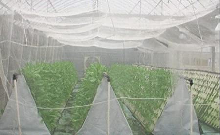 Insect net – Greenplast